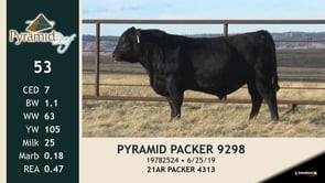 Lot #53 - PYRAMID PACKER 9298