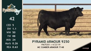 Lot #42 - PYRAMID ARMOUR 9250