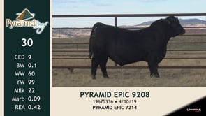 Lot #30 - PYRAMID EPIC 9208
