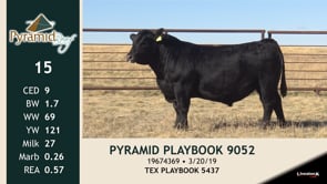 Lot #15 - PYRAMID PLAYBOOK 9052
