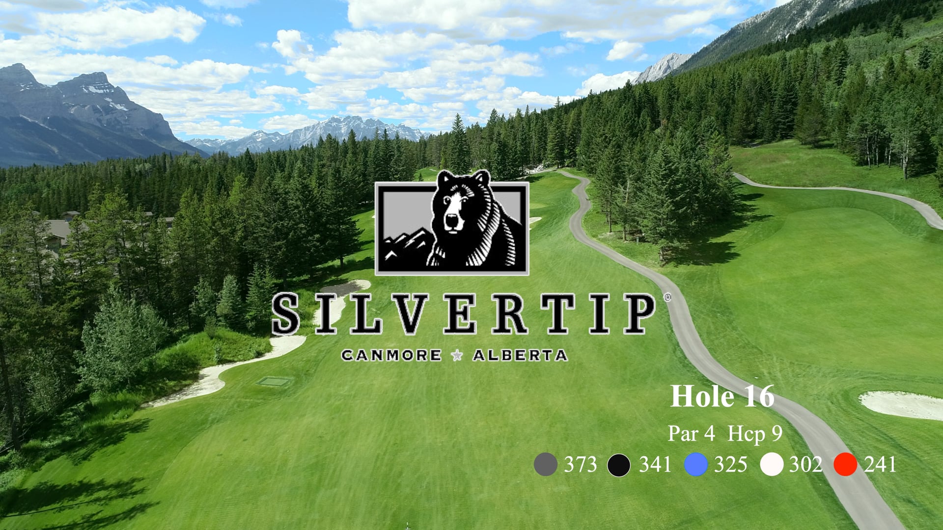 SilverTip Hole #16