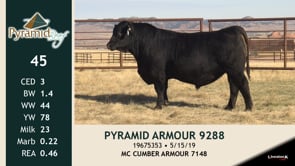 Lot #45 - PYRAMID ARMOUR 9288