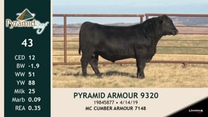 Lot #43 - PYRAMID ARMOUR 9320
