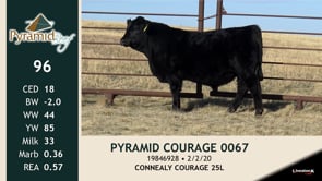 Lot #96 - PYRAMID COURAGE 0067