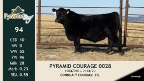 Lot #94 - PYRAMID COURAGE 0028