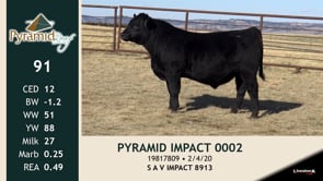 Lot #91 - PYRAMID IMPACT 0002
