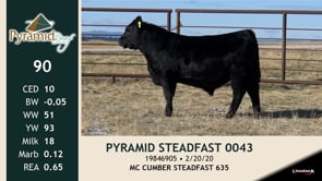 Lot #90 - PYRAMID STEADFAST 0043