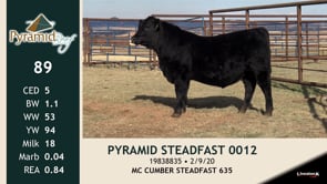 Lot #89 - PYRAMID STEADFAST 0012