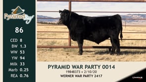 Lot #86 - PYRAMID WAR PARTY 0014