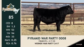 Lot #85 - PYRAMID WAR PARTY 0008