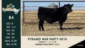 Lot #84 - PYRAMID WAR PARTY 0010