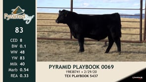 Lot #83 - PYRAMID PLAYBOOK 0069