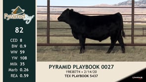 Lot #82 - PYRAMID PLAYBOOK 0027