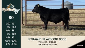 Lot #80 - PYRAMID PLAYBOOK 0050