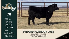 Lot #78 - PYRAMID PLAYBOOK 0058