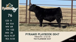 Lot #76 - PYRAMID PLAYBOOK 0047