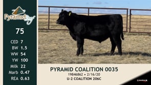 Lot #75 - PYRAMID COALITION 0035