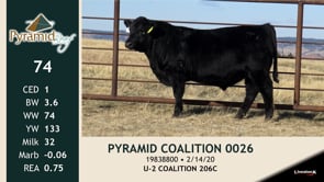 Lot #74 - PYRAMID COALITION 0026