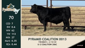 Lot #70 - PYRAMID COALITION 0013