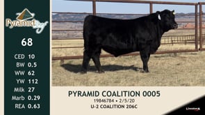 Lot #68 - PYRAMID COALITION 0005