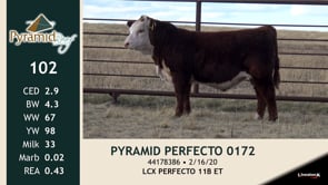 Lot #102 - PYRAMID PERFECTO 0172