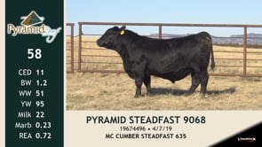 Lot #58 - PYRAMID STEADFAST 9068