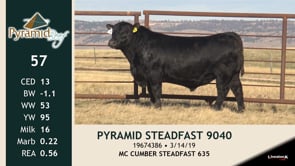 Lot #57 - PYRAMID STEADFAST 9040