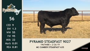 Lot #56 - PYRAMID STEADFAST 9027