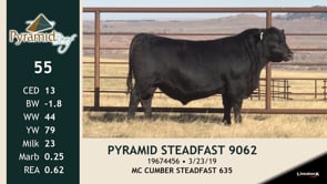 Lot #55 - PYRAMID STEADFAST 9062