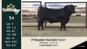 Lot #54 - PYRAMID PACKER 9231