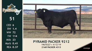 Lot #51 - PYRAMID PACKER 9212