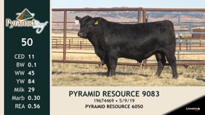 Lot #50 - PYRAMID RESOURCE 9083
