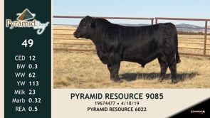 Lot #49 - PYRAMID RESOURCE 9085