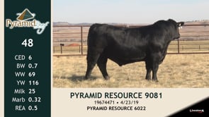 Lot #48 - PYRAMID RESOURCE 9081