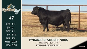 Lot #47 - PYRAMID RESOURCE 9086