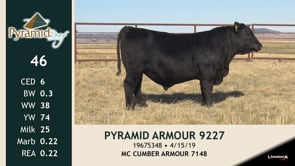 Lot #46 - PYRAMID ARMOUR 9227