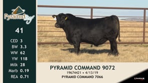 Lot #41 - PYRAMID COMMAND 9072