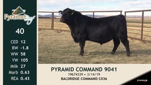Lot #40 - PYRAMID COMMAND 9041