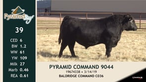 Lot #39 - PYRAMID COMMAND 9044