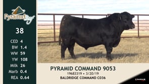Lot #38 - PYRAMID COMMAND 9053