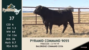 Lot #37 - PYRAMID COMMAND 9055