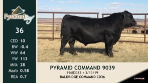 Lot #36 - PYRAMID COMMAND 9039