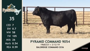 Lot #35 - PYRAMID COMMAND 9054
