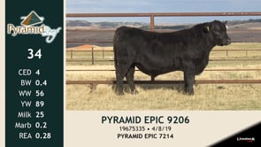 Lot #34 - PYRAMID EPIC 9206