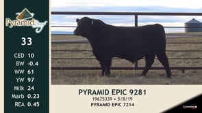 Lot #33 - PYRAMID EPIC 9281