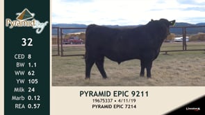 Lot #32 - PYRAMID EPIC 9211