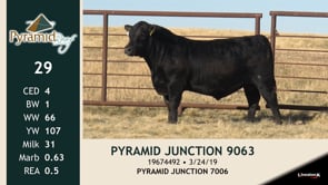 Lot #29 - PYRAMID JUNCTION 9063