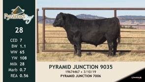 Lot #28 - PYRAMID JUNCTION 9035