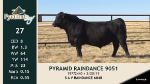 Lot #27 - PYRAMID RAINDANCE 9051