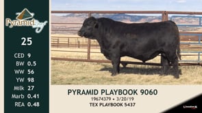 Lot #25 - PYRAMID PLAYBOOK 9060
